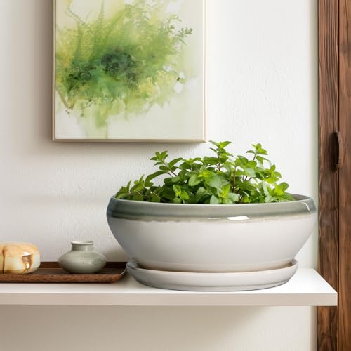 Large Succulent Planters (12 Inch / Grey-white)