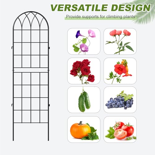 4 Pack Garden Trellis for Climbing Plants (71''H x 20''W/4 Pack / Black)