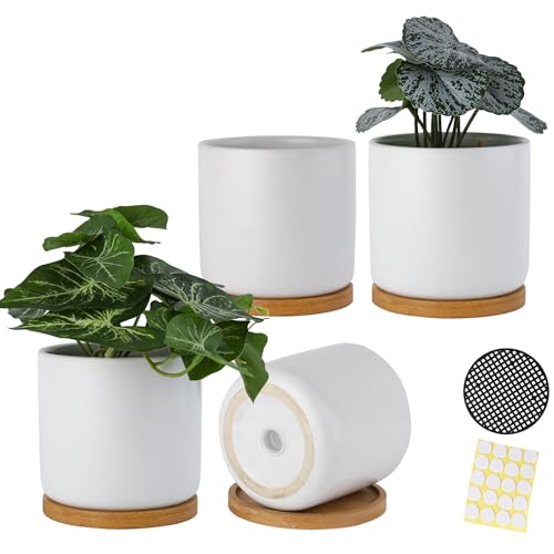 4 Inch Ceramic Plant Pots with Drainage Holes and Trays (White)