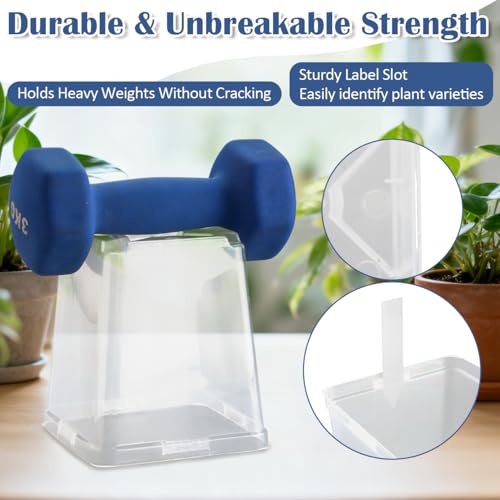 5.5 Inch Clear Square Nursery Pots with Drainage & Labels (Clear Pot+labels / 5.5Inch)