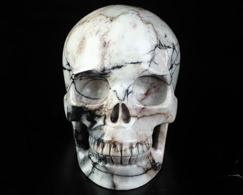 5.0” Black Picasso Jasper Crystal Skull (5.0 Inches Black Picasso Jasper1)
