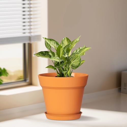 6 Inch Thick Plastic Plant Pots with Drainage Holes and Trays (6 Count)