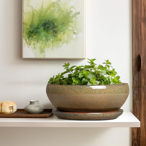 Ceramic Bonsai Pots (12 Inch / Speckled-brown)