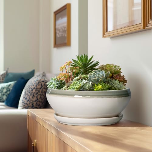 Large Succulent Planters (12 Inch / Grey-white)