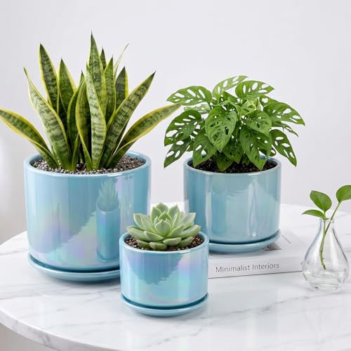 Ceramic Planter 4+5+6 Inch Ceramic Flower pots for Indoor Plants with Drainage (Sky Blue)
