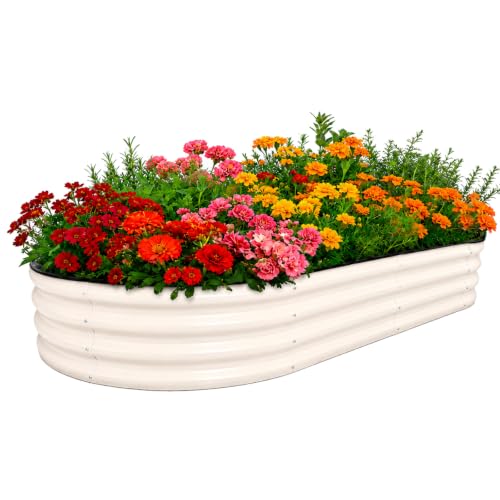 Galvanized Raised Garden Beds Outdoor (White / 8 x 4 x 1 ft)