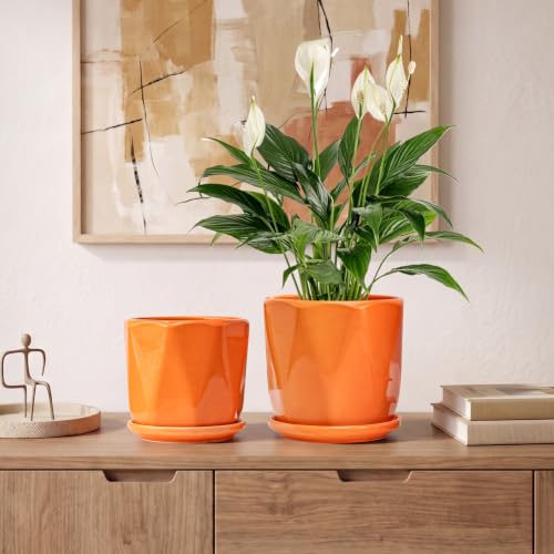 Ceramic Plant Pots Set of 3 (2-orange)