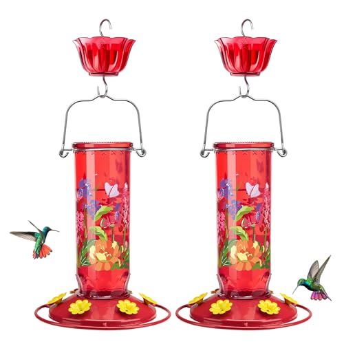 2 Pack Hummingbird Feeders for Outdoor Hanging (Red)