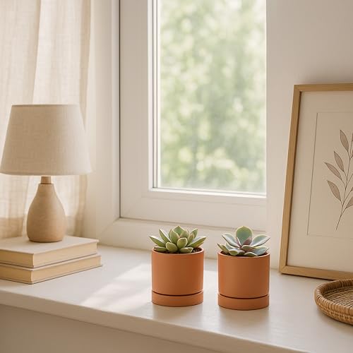 2 Pack Terracotta Plant Pots with Saucers (XX-Small 3 Inch)