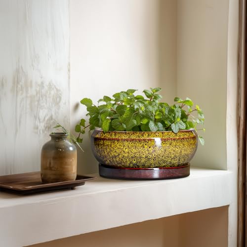 Succulent Planters 8 Inch (8 Inch / Leopard Yellow)