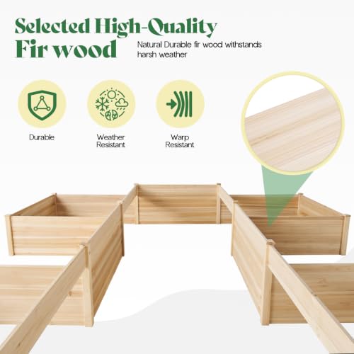 H Shaped Raised Garden Bed (12 x 12 x 2 FT)