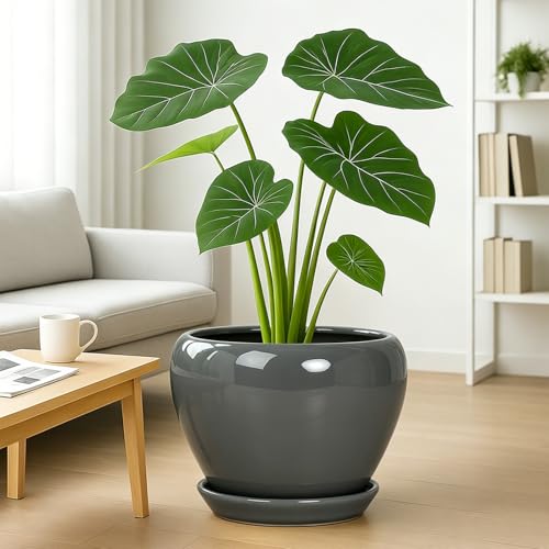 10 Inch Plant Pot (Gray / 10 Inch)