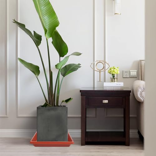 Plant Saucer 12 Inch Square 2 Pack (12"(2Pack) / Terra Cotta)