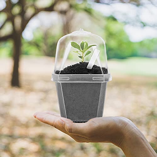 10 Pcs 3" Clear Plant Nursery Pot with Humidity Dome (10 Count)