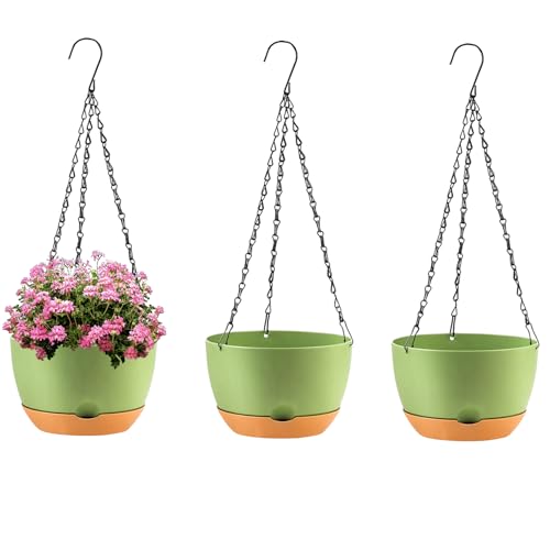 Hanging Planters (Green / 10 inch)