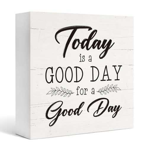 Today is A Good Day to Have A Good Day Inspirational Sayings Wall Decor Signs (Home sign 04)