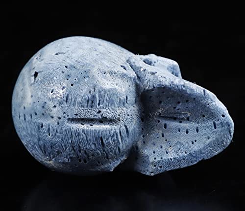 2.0" Blue Sponge Coral Crystal Skull (2.0" Blue Sponge Coral 7)