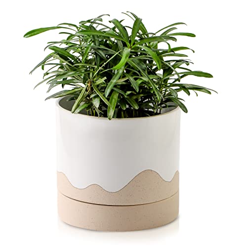 Ceramic Plant Pot