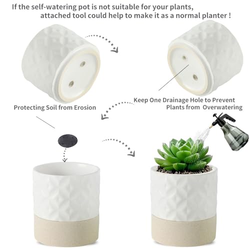 Self Watering Plant Pot for Indoor Plants (Matte White & Brown Star / 4.5"+6" Self Watering)