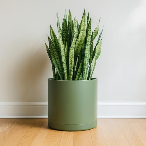 Plastic Planter Pot with Saucer (14 Inch / Olive)