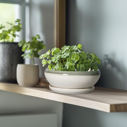 Bonsai Tree Pots (8 Inch / Grey-white)