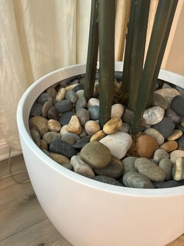 10 lbs River Rocks for Aquarium