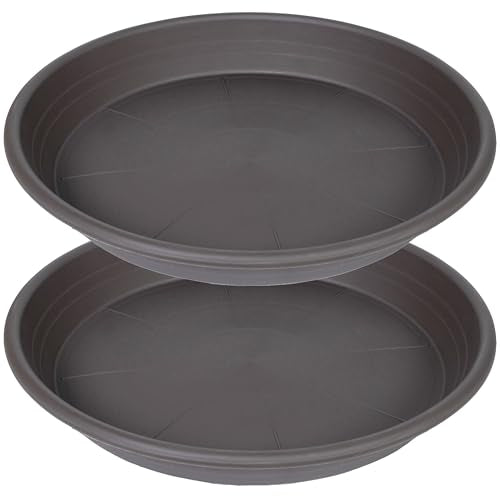 2 Pack of 10 inch Plant Saucer (10" (2 pack) / Brown)