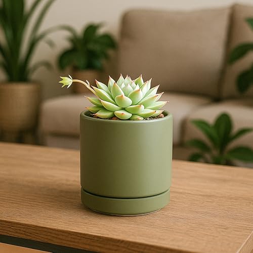 3.5 Inch Ceramic Planter Pot