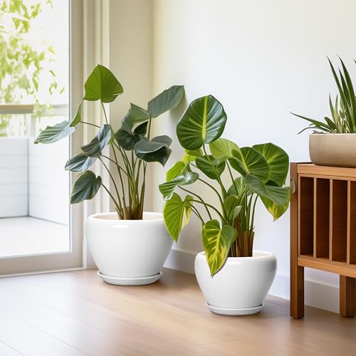 10+8+6 Inch Ceramic Planter (10+8+6 Inch / White)