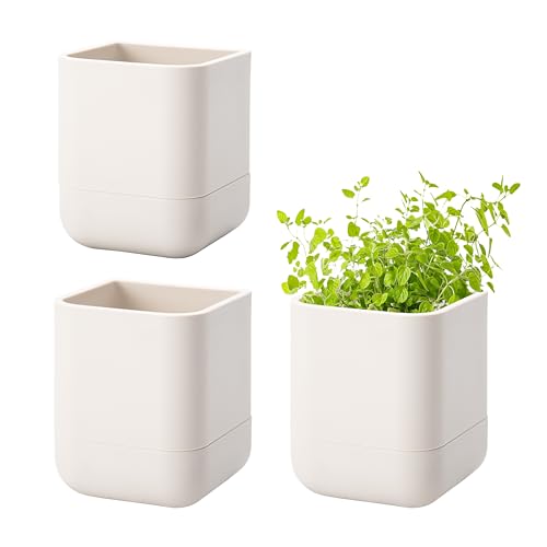 3.5 Inch Wall Mounted Self (3.5" (3 Pack) / Oatmeal)
