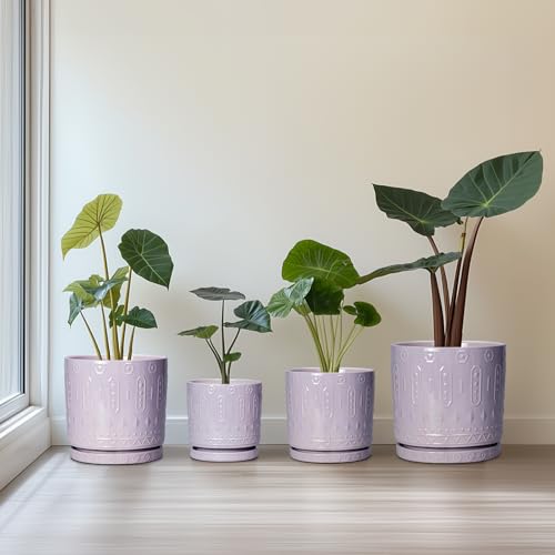 Ceramic Pots for Plants (6 Inch / Purple)