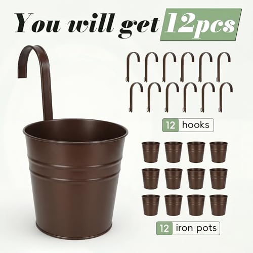 Hanging Flower Pots (Bronze(5in))
