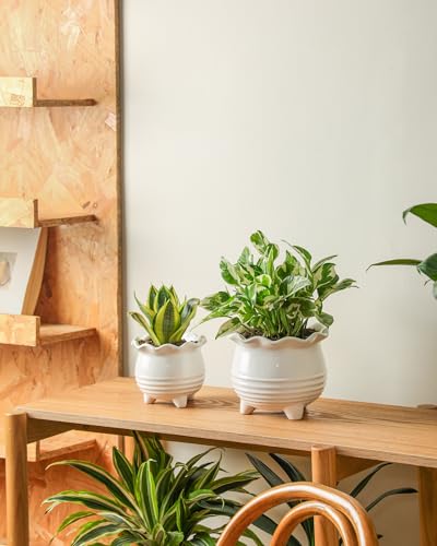 Ceramic Planter (2pcs White)