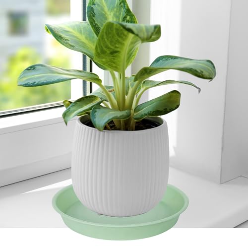 6 Pack Plastic Plant Saucer Water Drip Tray