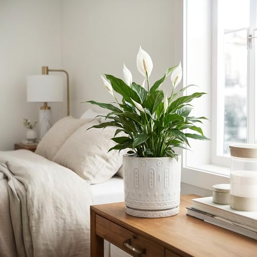 8 Inch Plant Pot (8 Inch / White - 2)