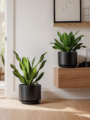 Ceramic Plant Pots (Black / 8"+10")
