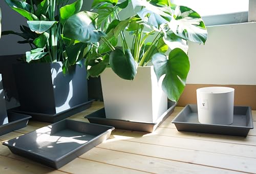 Square Plant Saucer 8 Inch 5 Pack (8"-5Pack / Gray)