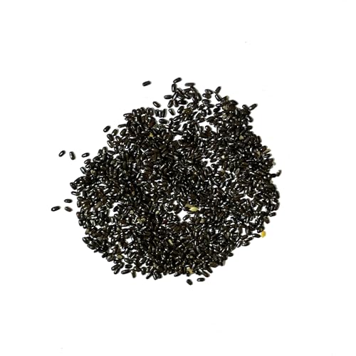 Munstead Lavender Seeds for Planting Fragrant Herbs 2 Packs (2 Packs)