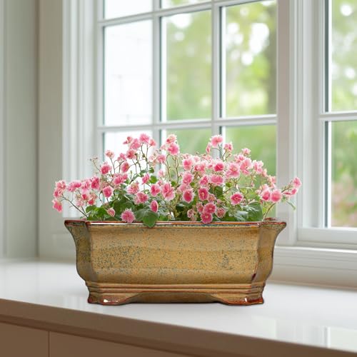 Bonsai Tree Pots 11.6 Inch (11 Inch / Rectangular Yellowish Brown)
