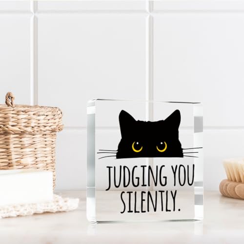 Judging you Silently Funny Sign (Siently)