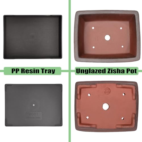 Decorative Ceramic Bonsai Planter Pot 8.5 Inch with Tray