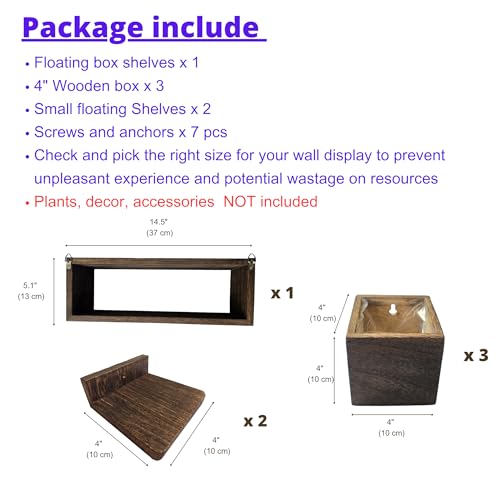 LaLaGreen Wood Planter Box for Indoor Plants (6-pc Set B)