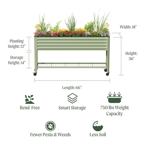 Rolling Elevated Raised Garden Bed