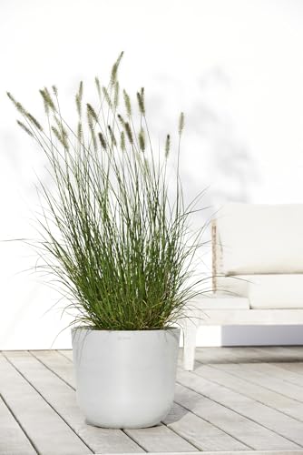 Oslo Round Flower Planter (Pure White / 14")