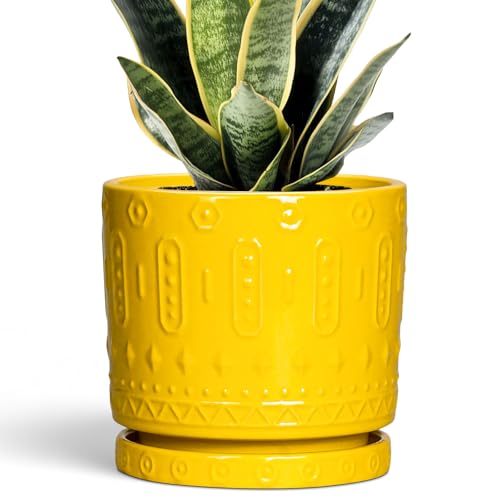 6 Inch Pots for Plants (6 Inch / Yellow)