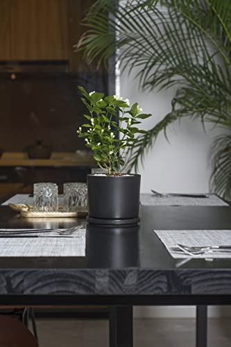 9 inch Plant Pots