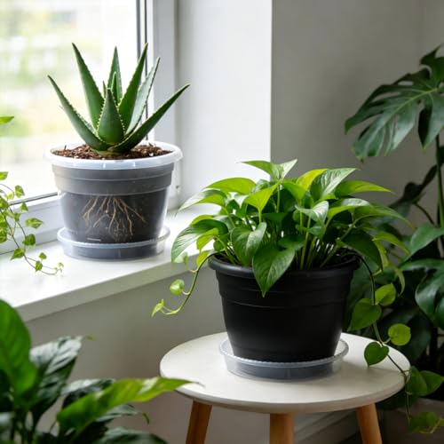 10 Pack 8 Inch Clear Nursery Pots with Drainage Holes & Saucers (Clear / 8 inch)