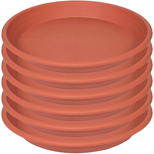 6 Pack Plant Saucer 8 inch (8" (6 pack) / Terracotta)