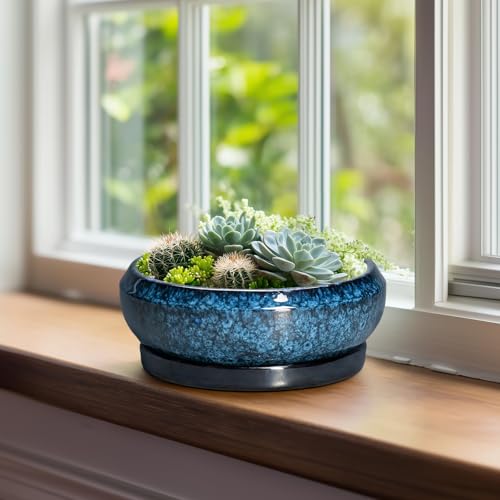 Bonsai Pots 8 Inch (8 Inch / Blue)