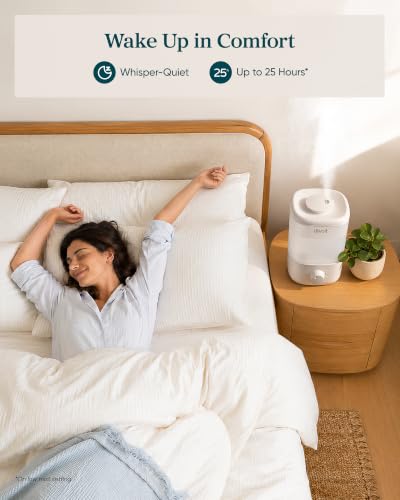 Top Fill Humidifiers for Bedroom